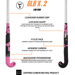 Y1 GLB X.2 - 2025