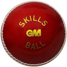 GM Cricket Skills Ball - Red